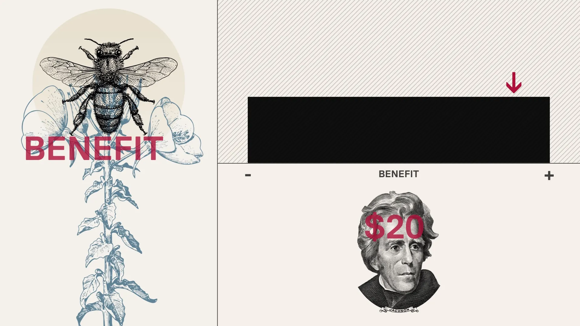 Presentation slide with an engraved bee and flower labeled "BENEFIT" beside a black bar on a benefit scale from minus to plus, with a $20 bill portrait below.