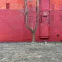Detroit Tree