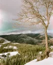 Emigrant Gap Vista