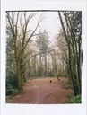 Forest Park