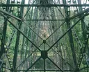 Hakalau Stream Bridge