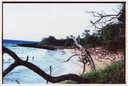 Little Beach