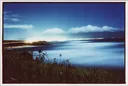 Moonlit Maui Night