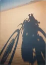 Playa Shadow