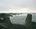 Tetrapods